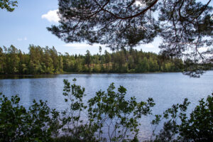 Sjön Alljungen